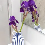 Dom wakacyjny Casa Carmen Haría