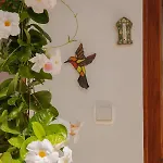 Dom wakacyjny Casa Carmen *