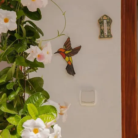 Casa de Férias Casa Carmen *